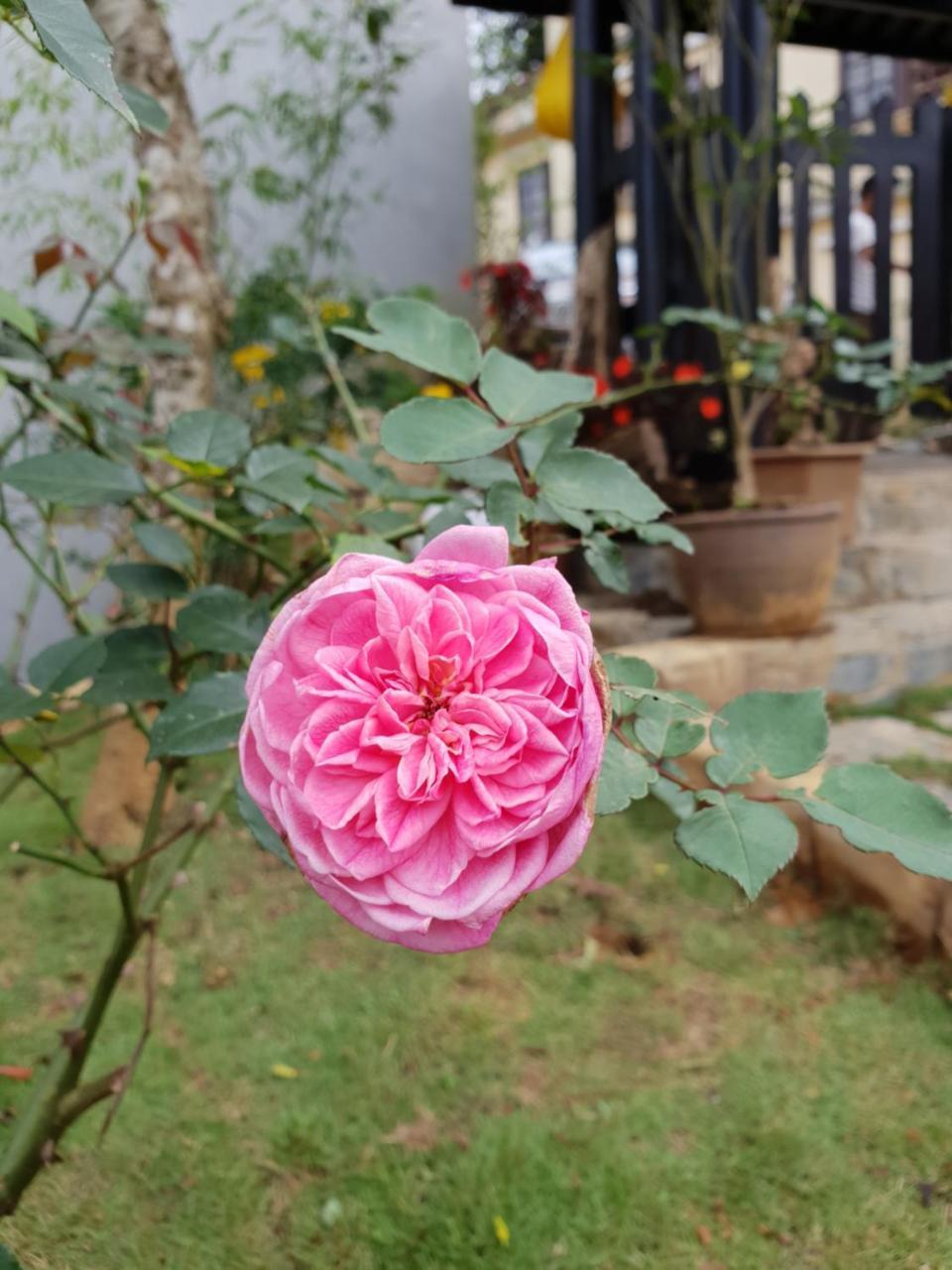 Sapa Charming Homestay Экстерьер фото